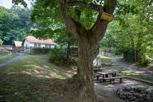 pszl_tajhaz_pic07.jpg