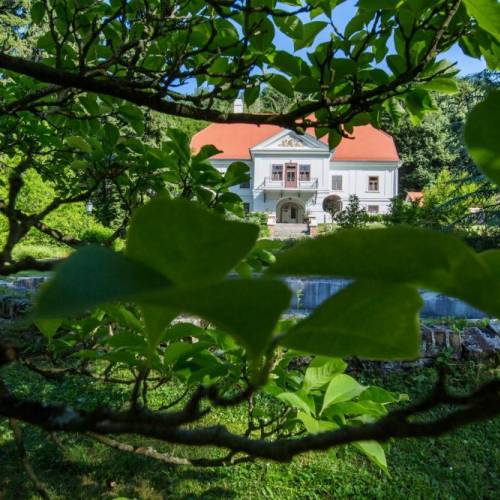 pszl_fotogaleria_15.jpg