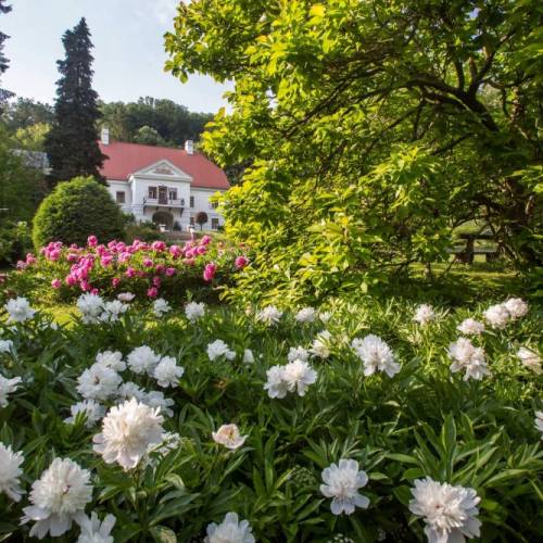 pszl_fotogaleria_23.jpg